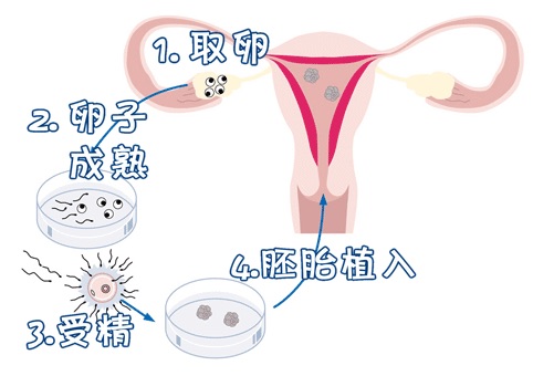 张蓝之主任